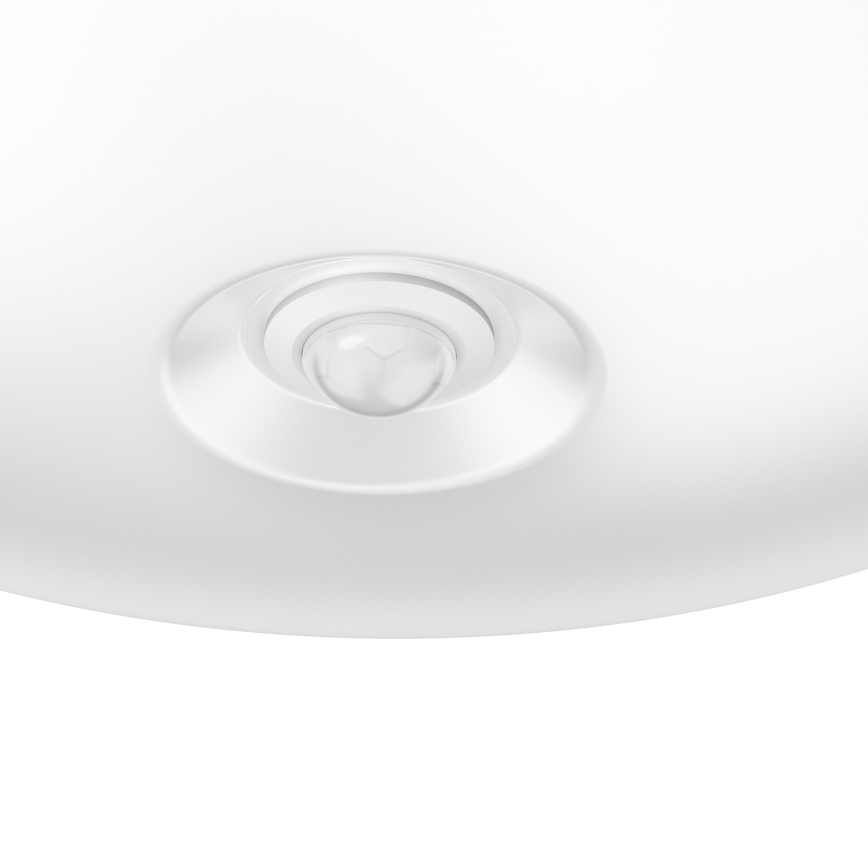 Philips 62234/31/P0 - LED senzorové osvetlenie MYLIVING MAUVE PIR 4xLED/4W/230V