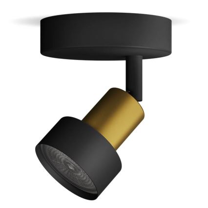 Philips - Bodové svietidlo CONDUIT 1xGU10/5W/230V čierna/mosadz