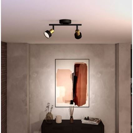 Philips - Bodové svietidlo CONDUIT 2xGU10/5W/230V čierna/mosadz