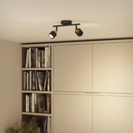 Philips - Bodové svietidlo NIALL 2xGU10/5W/230V čierna/mosadz
