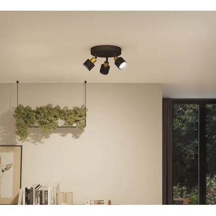 Philips - Bodové svietidlo NIALL 3xGU10/5W/230V čierna/mosadz