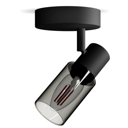 Philips - Bodové svietidlo PALMS 1xE14/25W/230V