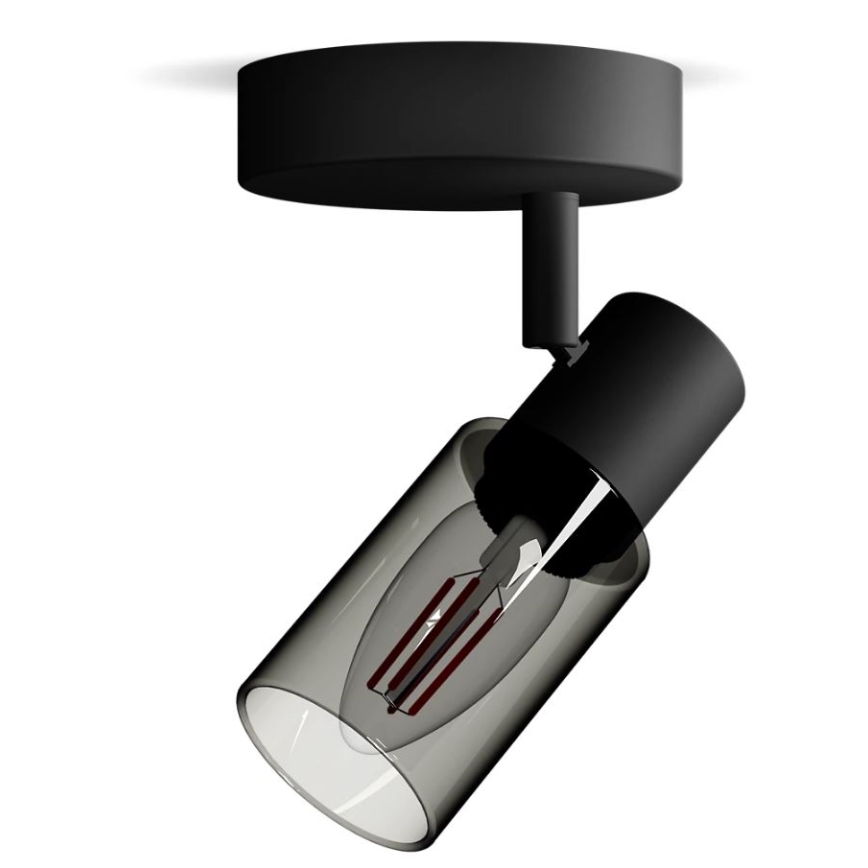 Philips - Bodové svietidlo PALMS 1xE14/25W/230V