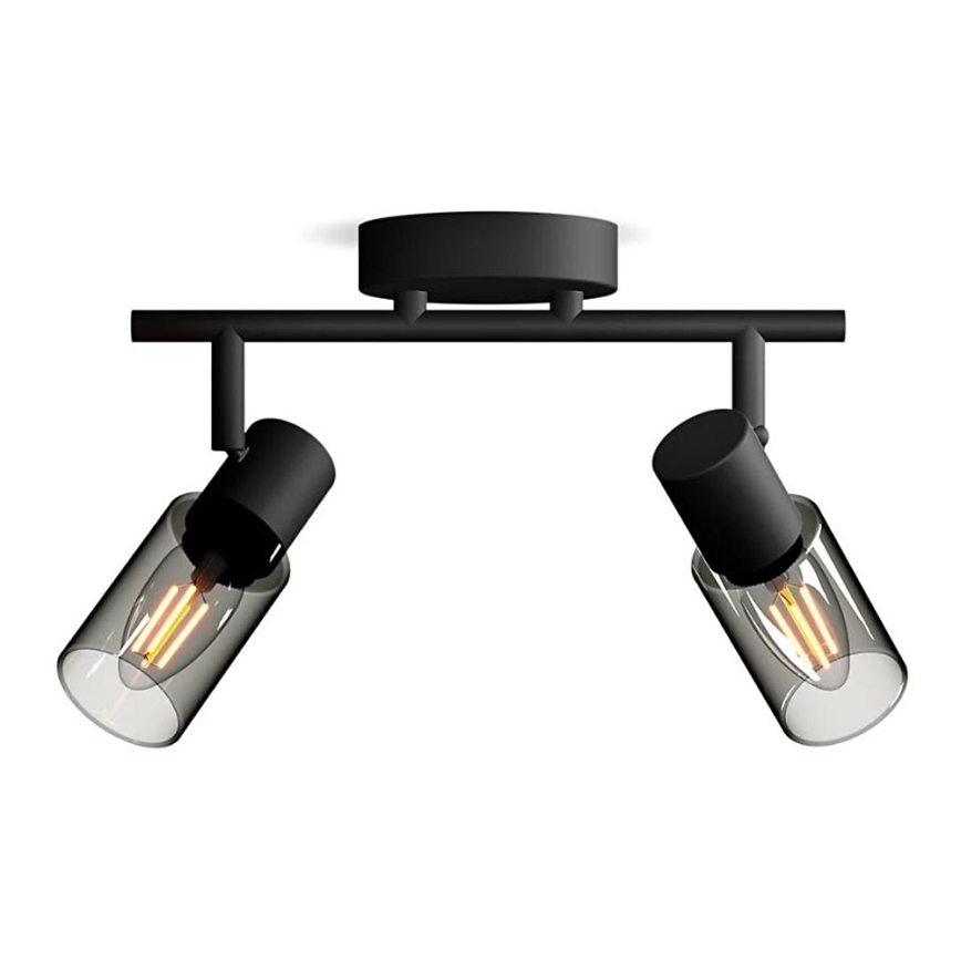 Philips - Bodové svietidlo PALMS 2xE14/25W/230V