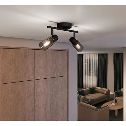 Philips - Bodové svietidlo PALMS 2xE14/25W/230V