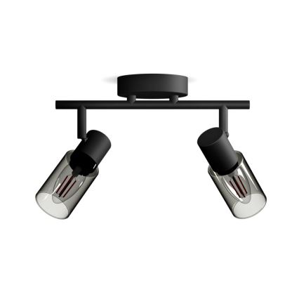 Philips - Bodové svietidlo PALMS 2xE14/25W/230V