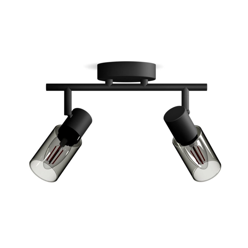 Philips - Bodové svietidlo PALMS 2xE14/25W/230V