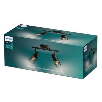 Philips - Bodové svietidlo PALMS 2xE14/25W/230V