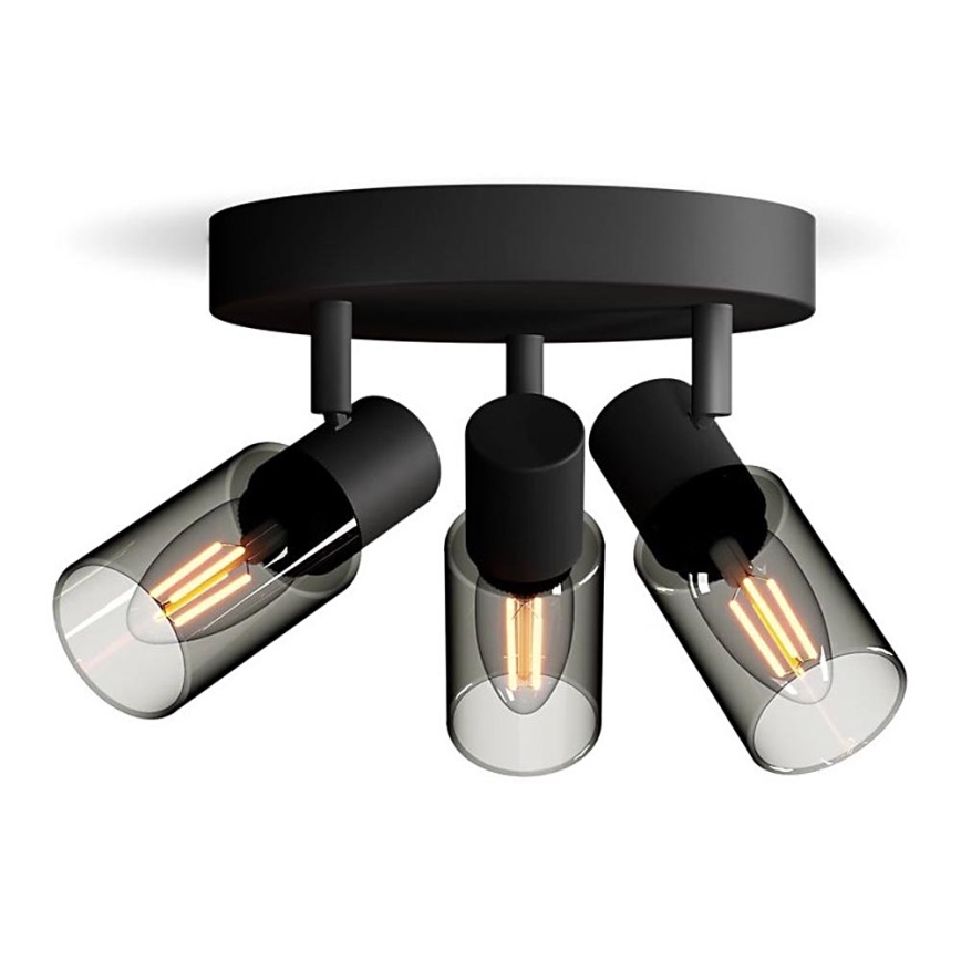 Philips - Bodové svietidlo PALMS 3xE14/25W/230V