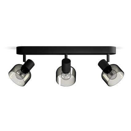 Philips - Bodové svietidlo SLEET 3xE14/25W/230V