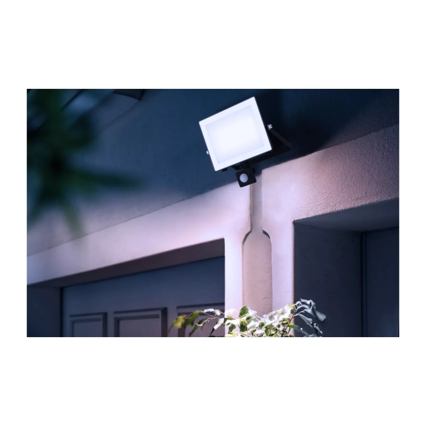 Philips - LED Reflektor so senzorom LOIS LED/50W/230V IP65 5000K