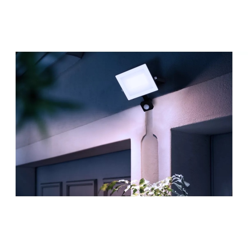 Philips - LED рефлектор з сенсором LOIS LED/30W/230V IP65 5000K