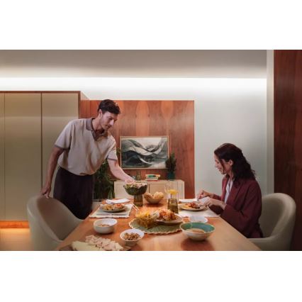 Philips - LED RGBW Stmievateľný pás Hue FLUX 10m LED/60W/230V 2200-6500K