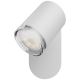 Philips - LED Stmievateľné kúpeľňové svietidlo Hue ADORE 1xGU10/5W/230V IP44 + diaľkové ovládanie