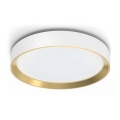 Philips - LED Stmievateľné stropné svietidlo HANNO LED/24W/230V 2700K biela