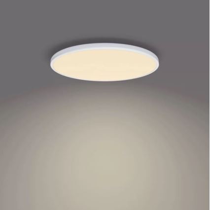 Philips - LED Stmievateľné stropné svietidlo SCENE SWITCH LED/22W/230V pr. 40 cm 2700K biela