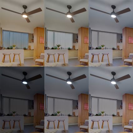 Philips - LED Stmievateľný stropný ventilátor CIVX LED/24W/230V + diaľkové ovládanie