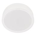 Philips - LED Stropné svietidlo LED/16,5W/230V