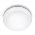 Philips - LED Stropné svietidlo LED/16W/230V 4000K