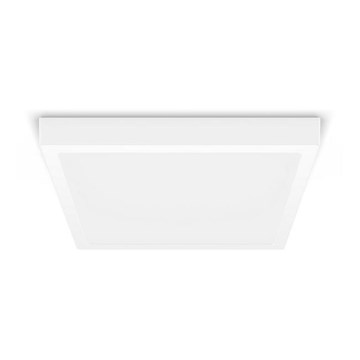 Philips - LED Stropné svietidlo LED/20W/230V 2700K biela