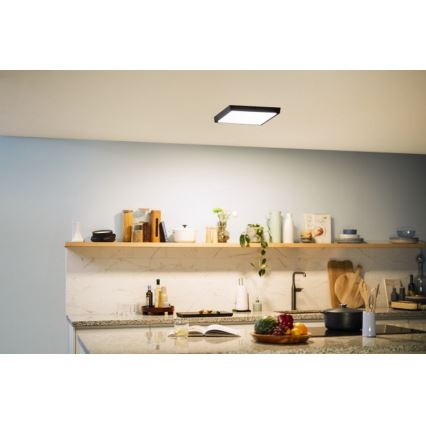 Philips - LED Stropné svietidlo LED/20W/230V 2700K čierna