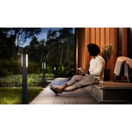 Philips - LED Vonkajšia lampa STRATOSPHERE LED/3,8W/230V 77 cm 2700K IP44