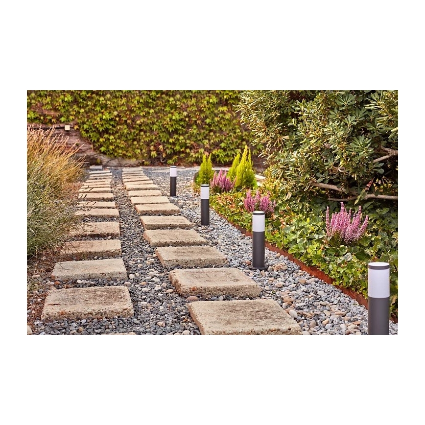 Philips - LED Vonkajšia lampa GARDENLINK LED/24W/230V 2700K IP44