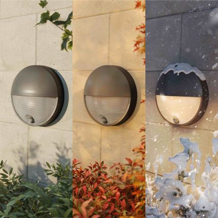 Philips - vonkajšie nástenné svietidlo so senzorom CAPRICORN LED/4,3W/230V IP44