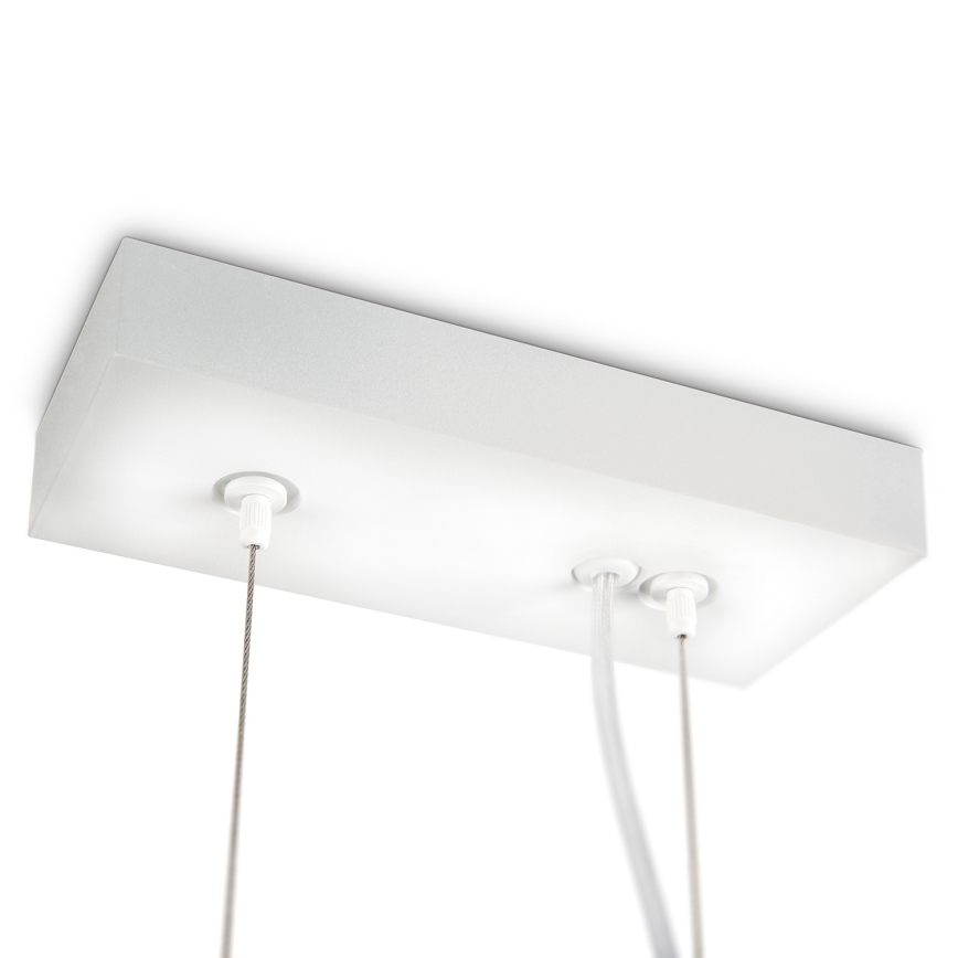 Philips Lirio 40609/31/16 - LED Stropné závesné svietidlo CIRCULIS 3xLED/13W/230V