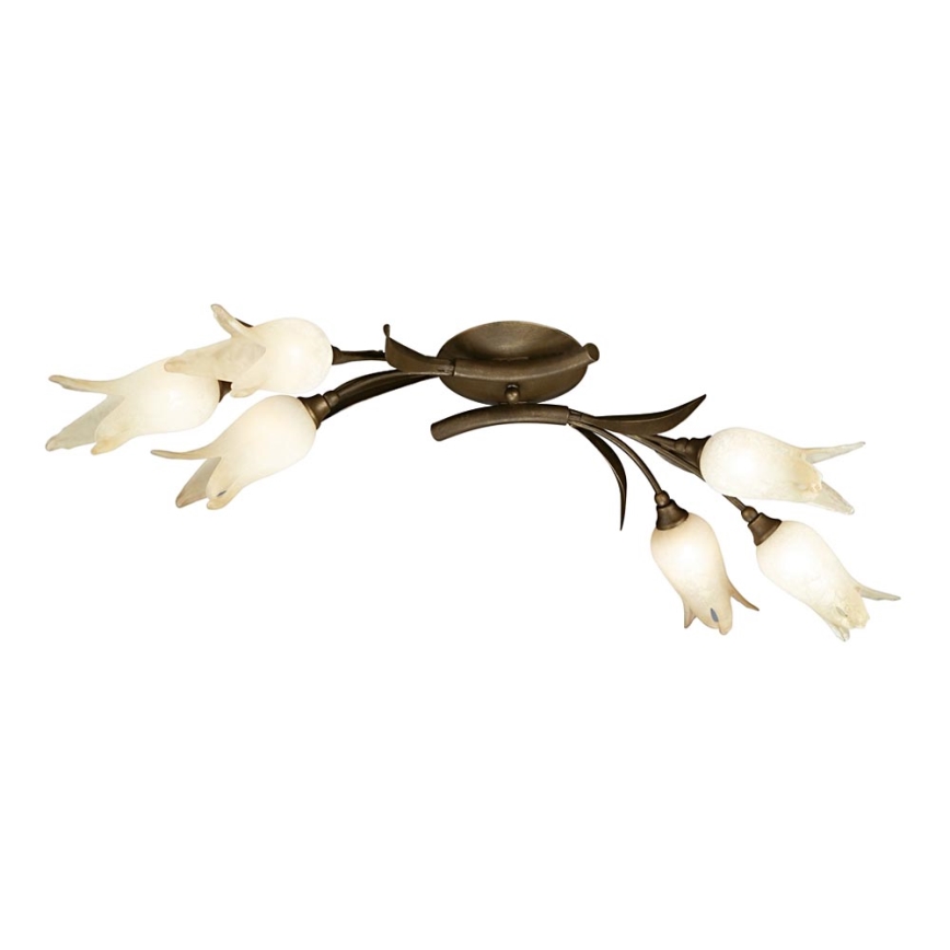 Philips Massive 38845/43/10 - Stropné svietidlo STUART 6xG9/40W