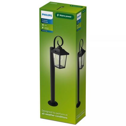 Philips - Vonkajšia lampa BUZZARD 1xE27/25W/230V IP44