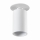 Podhľadové bodové svietidlo CHIRO 1xGU10/35W/230V biela