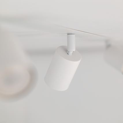 Podhľadové bodové svietidlo NEX 4xGU10/10W/230V biela