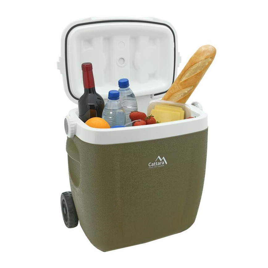 Pojazdný chladiaci box 16 l zelený