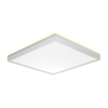 Prezent 27307 - LED Kúpeľňové stropné svietidlo CORDIA SQ LED/18W/230V 3000/6000K IP54 biela