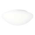Prezent 45138 - LED kúpeľňové stropné svietidlo ASPEN LED/12W/230V IP44