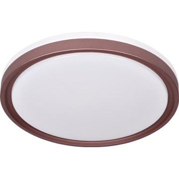Prezent 71344 - LED stmievateľné stropné svietidlo FLOREN LED/30W/230V 3000/4000/6500K pr. 41,5 cm hnedá