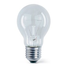 Priemyselná žiarovka E27/100W/230V 2700K