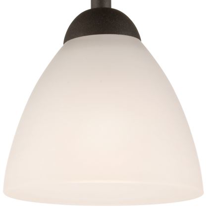 Prisadený luster ADRIANO 1xE27/60W/230V buk
