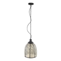 PTMD - Luster na retiazke BAYU 1xE27/40W/230V pr. 29 cm