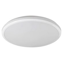 Rabalux 1429 - LED Kúpeľňové stropné svietidlo BRANDON LED/24W/230V IP65