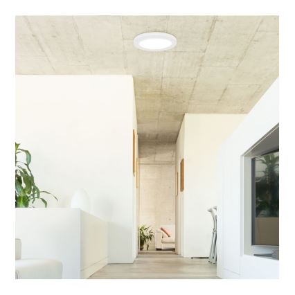 Rabalux - LED Stropné svietidlo so senzorom LED/18W/230V 4000K 22,5 cm