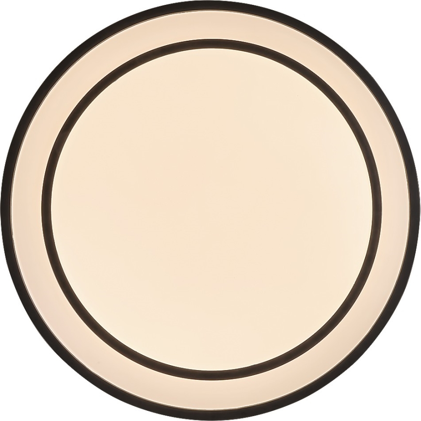 Rabalux - stmievateľné LED stropné svietidlo LED/40W/230V 3000-6500K čierne, priemer 49 cm + diaľkové ovládanie