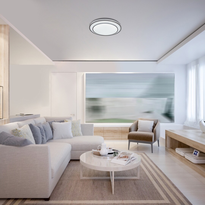 Rabalux - LED Stmievateľné stropné svietidlo LED/40W/230V 3000-6500K strieborná + diaľkové ovládanie