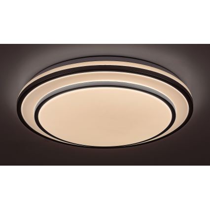 Rabalux - LED stmievateľné stropné svietidlo LED/40W/230V 3000-6500K strieborné pr. 49 cm + diaľkové ovládanie