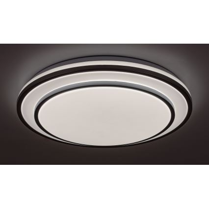 Rabalux - LED stmievateľné stropné svietidlo LED/40W/230V 3000-6500K strieborné pr. 49 cm + diaľkové ovládanie