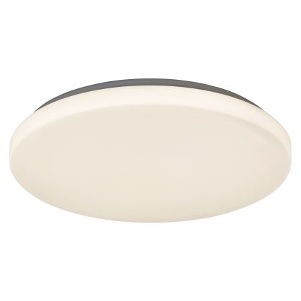 Rabalux - LED Stropné svietidlo 1xLED/32W/230V