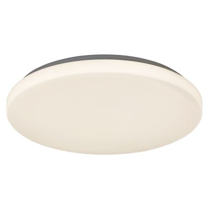 Rabalux 2285 - LED Stropné svietidlo ROB 1xLED/32W/230V