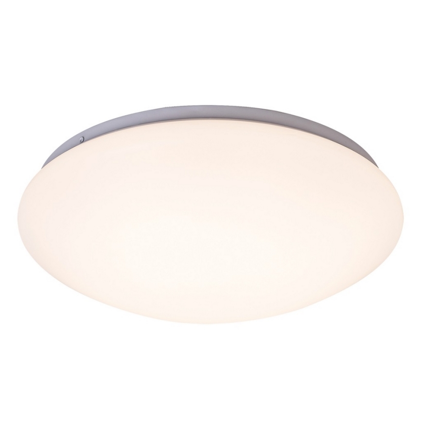 LED Stropné svietidlo LUCAS LED/12W/230V
