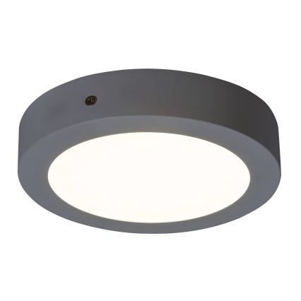 Rabalux 2655 - LED Stropné svietidlo LOIS LED/12W/230V